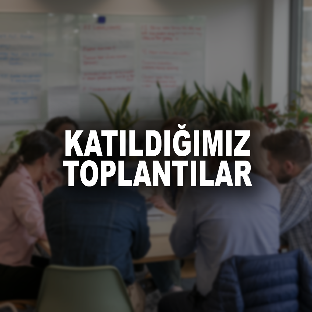Katıldığımız Toplantılar